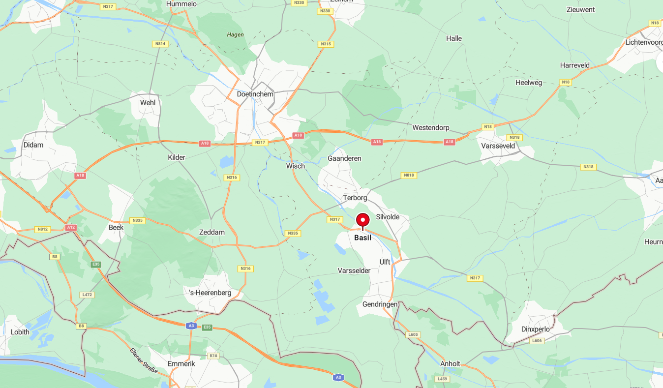 google maps.png