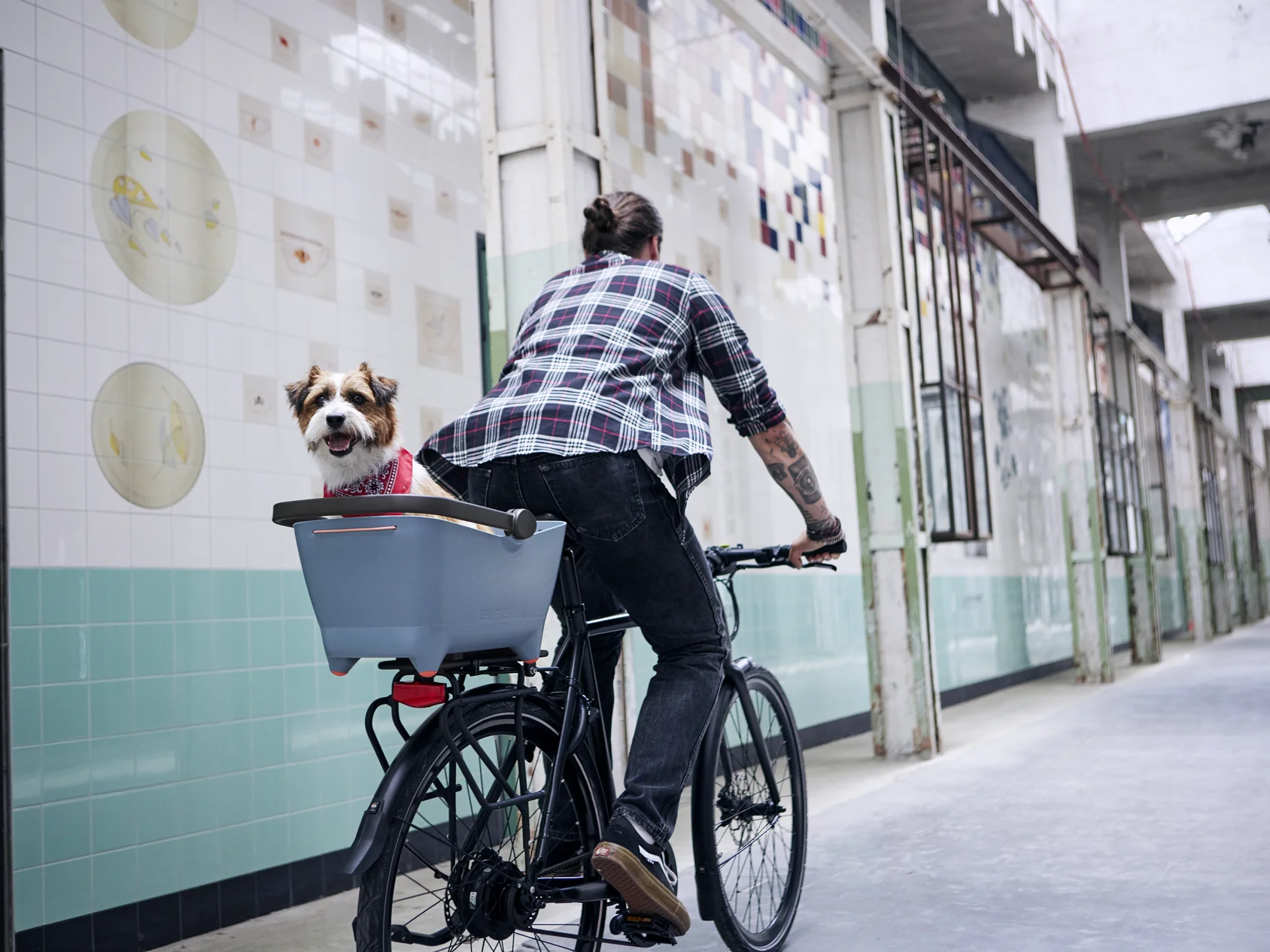 Basil Buddy faded denim series_8_hero.webp