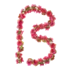 Basil Flower Garland - bloemenstreng - fuchsia